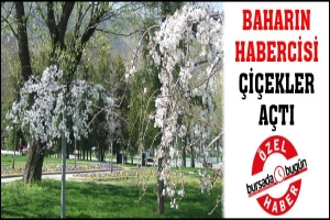 &Ccedil;İ&Ccedil;EKLER A&Ccedil;TI BURSALILAR PARKLARA AKIN ETTİ