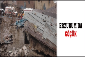 ERZURUM'DA G&Ouml;&Ccedil;&Uuml;K