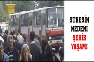 STRESİN NEDENİ ŞEHİR YAŞAMI