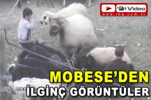 MOBESE'DEN İLG&Uuml;N&Ccedil; G&Ouml;R&Uuml;NT&Uuml;LER