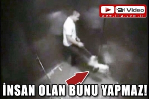 İNSAN OLAN BUNU YAPMAZ