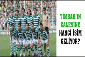 TİMSAH'IN KALESİNE HANGİ İSİM GELİYOR?