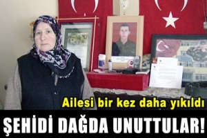 ŞEHİDİ DAĞDA UNUTTULAR