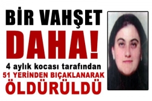 BİR VAHŞET DAHA