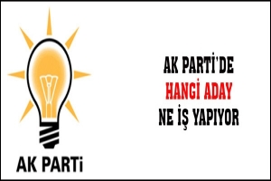 HANGİ ADAY NE İŞ YAPIYOR?