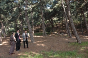 HASTANE YANINA PİKNİK ALANI
