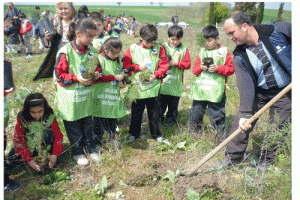 MİNİKLERİN DİKİLİ AĞACI OLDU