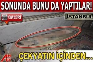 SONUNDA BUNU DA YAPTILAR