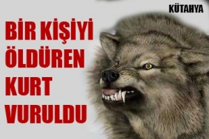 BİR KADINI &Ouml;LD&Uuml;REN KURT VURULDU