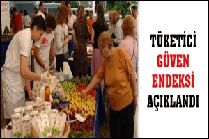 T&Uuml;KETİCİ G&Uuml;VEN ENDEKSİ A&Ccedil;IKLANDI