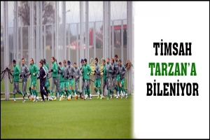 TİMSAH TARZAN'A BİLENİYOR