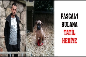 PASCAL'I BULANA TATİL HEDİYE