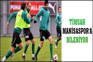 TİMSAH MANİSASPOR'A BİLENİYOR