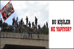 BU KİŞİLER NE YAPIYOR?