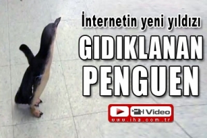 İNTERNETİN YENİ YILDIZI