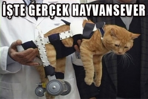 450 HAYVANA PROTEZ &Uuml;RETTİ
