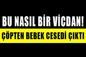 &Ccedil;&Ouml;PTEN BEBEK CESEDİ &Ccedil;IKTI