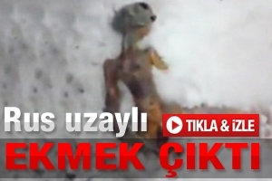 RUS UZAYLI BAYAT EKMEK &Ccedil;IKTI