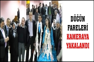 D&Uuml;Ğ&Uuml;N FARELERİ KAMERAYA YAKALANDI