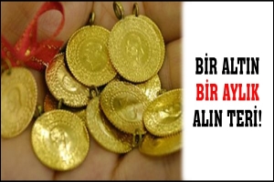 BİR ALTIN BİR AYLIK ALIN TERİ!