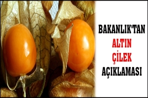 BAKANLIK'TAN ALTIN &Ccedil;İLEK A&Ccedil;IKLAMASI