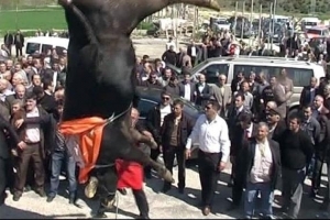 İNSANLIK DIŞI