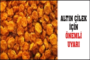 ALTIN &Ccedil;İLEK İ&Ccedil;İN &Ouml;NEMLİ UYARI