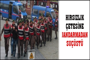 HIRSIZLIK &Ccedil;ETESİNE JANDARMADAN SU&Ccedil;&Uuml;ST&Uuml;