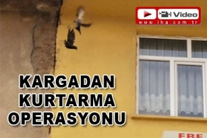 KARGADAN KURTARMA OPERASYONU