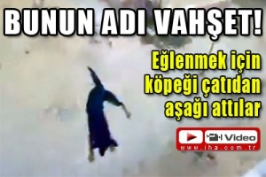 BUNUN ADI VAHŞET