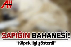 SAPIĞIN BAHANESİ
