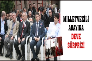 MİLLETVEKİLİ ADAYINA DEVE S&Uuml;RPRİZİ