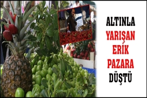 ALTINLA YARIŞAN ERİK PAZARA D&Uuml;ŞT&Uuml;