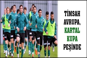 TİMSAH &Uuml;&Ccedil;&Uuml;NC&Uuml;L&Uuml;K, KARTAL KUPA PEŞİNDE