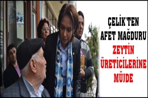 &Ccedil;ELİK'TEN AFET MAĞDURU ZEYTİN &Uuml;RETİCİLERİNE M&Uuml;JDE