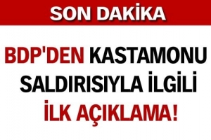 BDP'DEN KASTAMONU SALDIRISIYLA İLGİLİ İLK A&Ccedil;IKLAMA