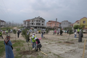 İNEG&Ouml;L'DE AĞA&Ccedil;LANDIRMA SEFERBERLİĞİ