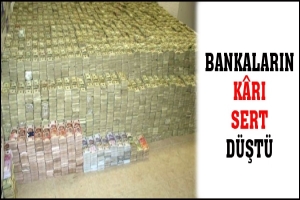 BANKALARIN K&Acirc;RI SERT D&Uuml;ŞT&Uuml;