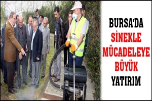 BURSA'DA SİNEKLE M&Uuml;CADELEYE B&Uuml;Y&Uuml;K YATIRIM
