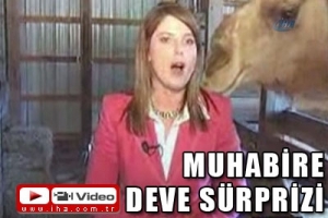 MUHABİRE DEVE S&Uuml;RPRİZİ