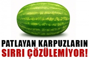 PATLAYAN KARPUZLARIN SIRRI &Ccedil;&Ouml;Z&Uuml;LEMİYOR