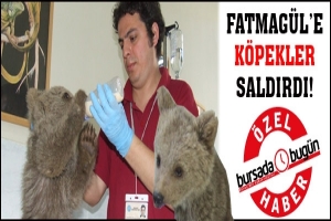 &Ouml;ZEL HABER... K&Ouml;PEKLERİN SALDIRISINA UĞRAYAN FATMAG&Uuml;L FEL&Ccedil; OLDU!