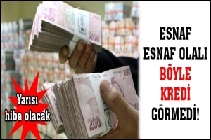 ESNAF ESNAF OLALI B&Ouml;YLE KREDİ G&Ouml;RMEDİ!