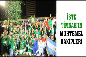 İŞTE BURSASPOR'UN MUHTEMEL RAKİPLERİ