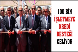 100 BİN İŞLETMEYE KREDİ DESTEĞİ GELİYOR
