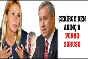 &Ccedil;EKİRGE'DEN ARIN&Ccedil;'A PORNO SORUSU