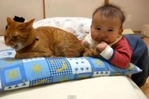 KEDİNİN BEBEKLE İMTİHANI