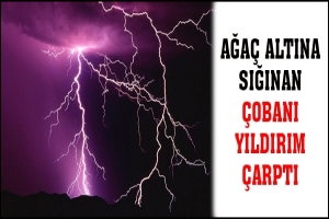 AĞA&Ccedil; ALTINA SIĞINAN &Ccedil;OBANI YILDIRIM &Ccedil;ARPTI