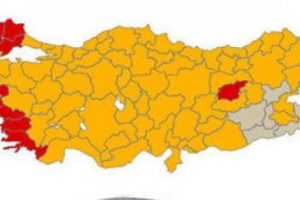 AK Parti sahillere inmesini 400 kilo balıkla kutladı