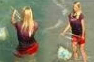 Bu g&ouml;r&uuml;nt&uuml;ler Antalya'dan.. Utanmalıyız